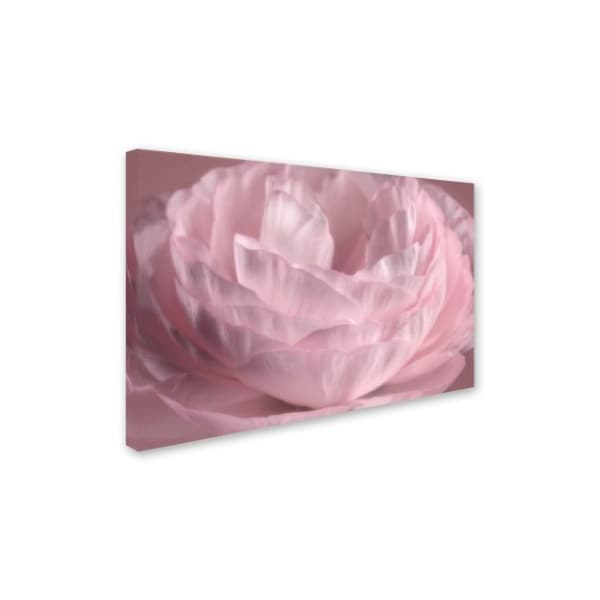 Cora Niele 'Persian Pink Petals' Canvas Art,22x32